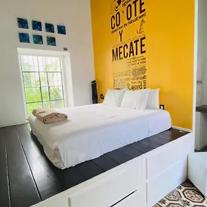 Kuku Ruku Querétaro